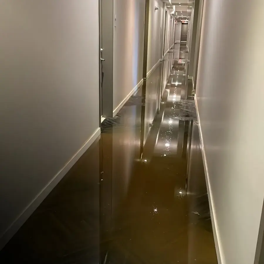 Water Damage Cost Calculator in a Joplin, MO home