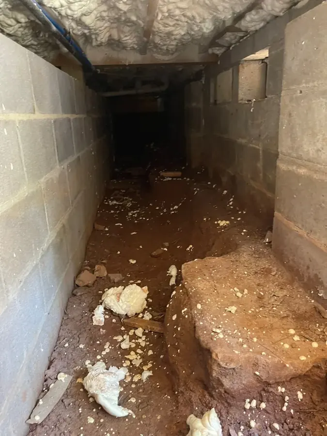 Storm flooding pumped from a finished basement in a Joplin, MO home