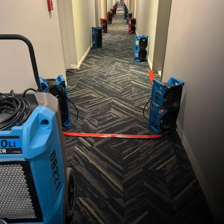 Structural Drying & Dehumidification in a Joplin, MO home